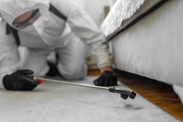 Professional Bed Bug Control technician working in Jefferson County County, WV